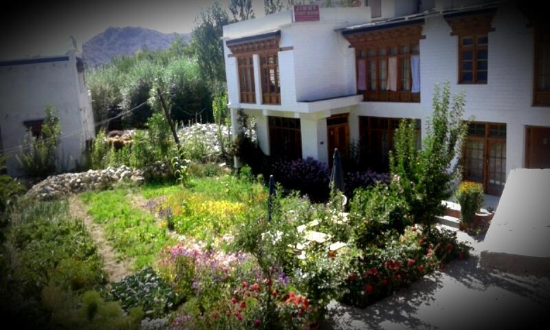Jimmy'S Homestay Leh Kültér fotó