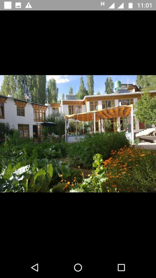 Jimmy'S Homestay Leh Kültér fotó